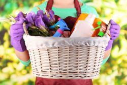 Off-season? Time to deep clean your short-term rental properties!