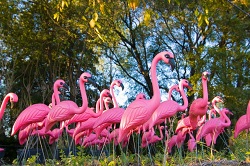 Three trendy themes to kitsch up your rental property